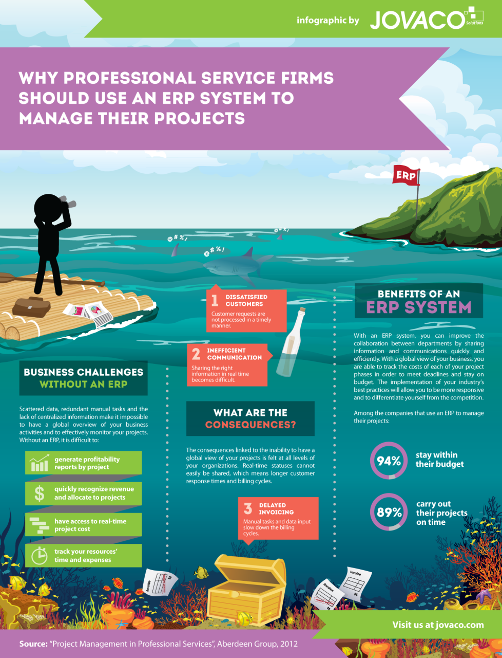 Unleashing Efficiency: How ERP Systems Empower Professional Services Firms