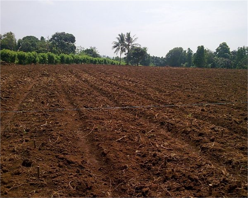 Agricultural Land / Farm Land for sale in Bhor Pune - 20 Acre