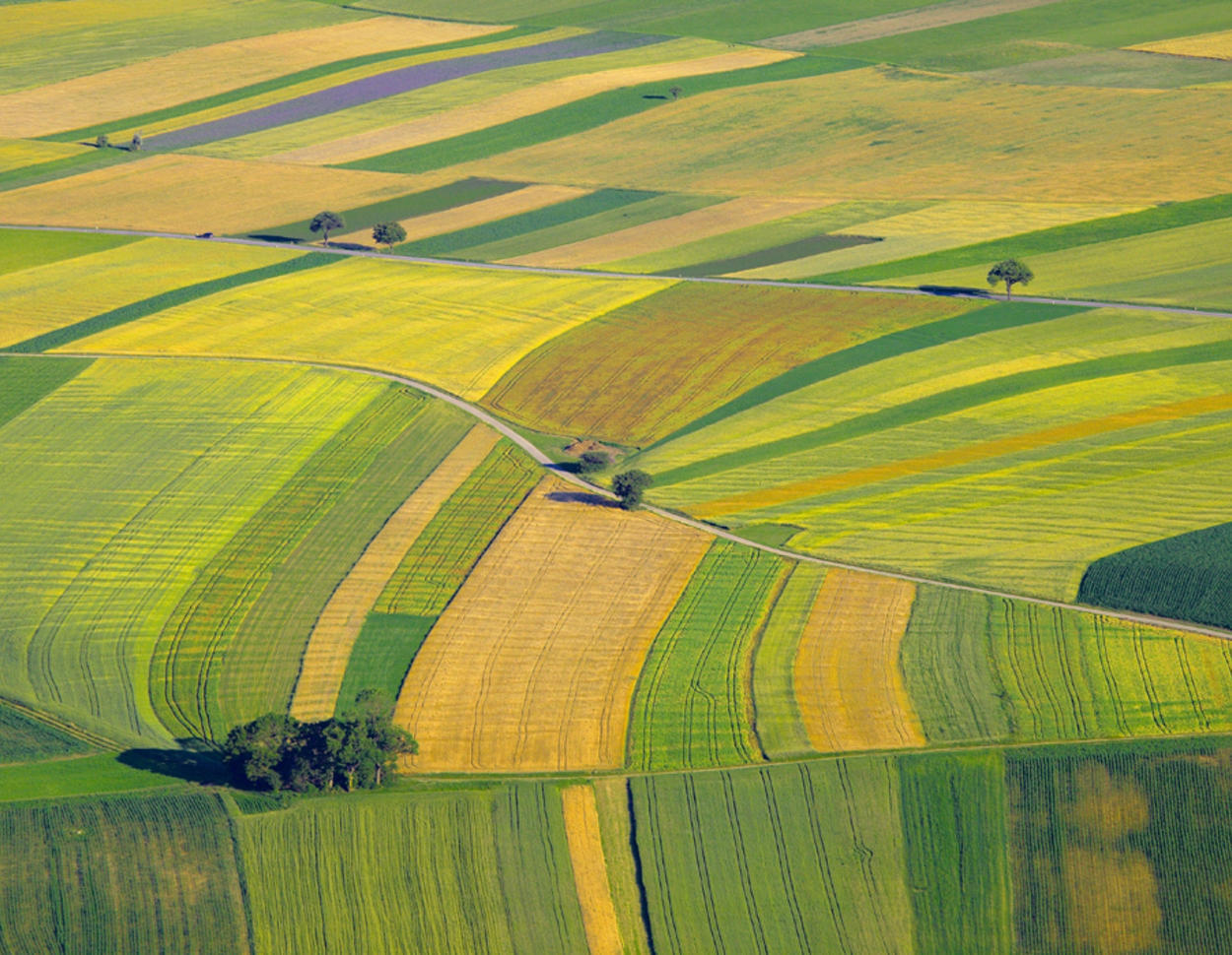 So hat sich die Landwirtschaft in der EU verändert | agrarheute.com