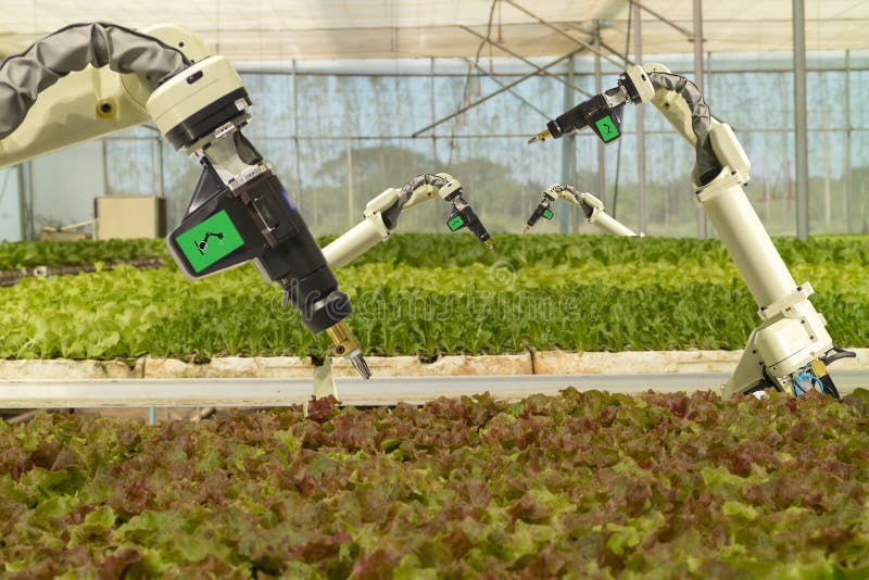 Intelligentes Roboter Im Futuristischen Konzept Der Landwirtschaft