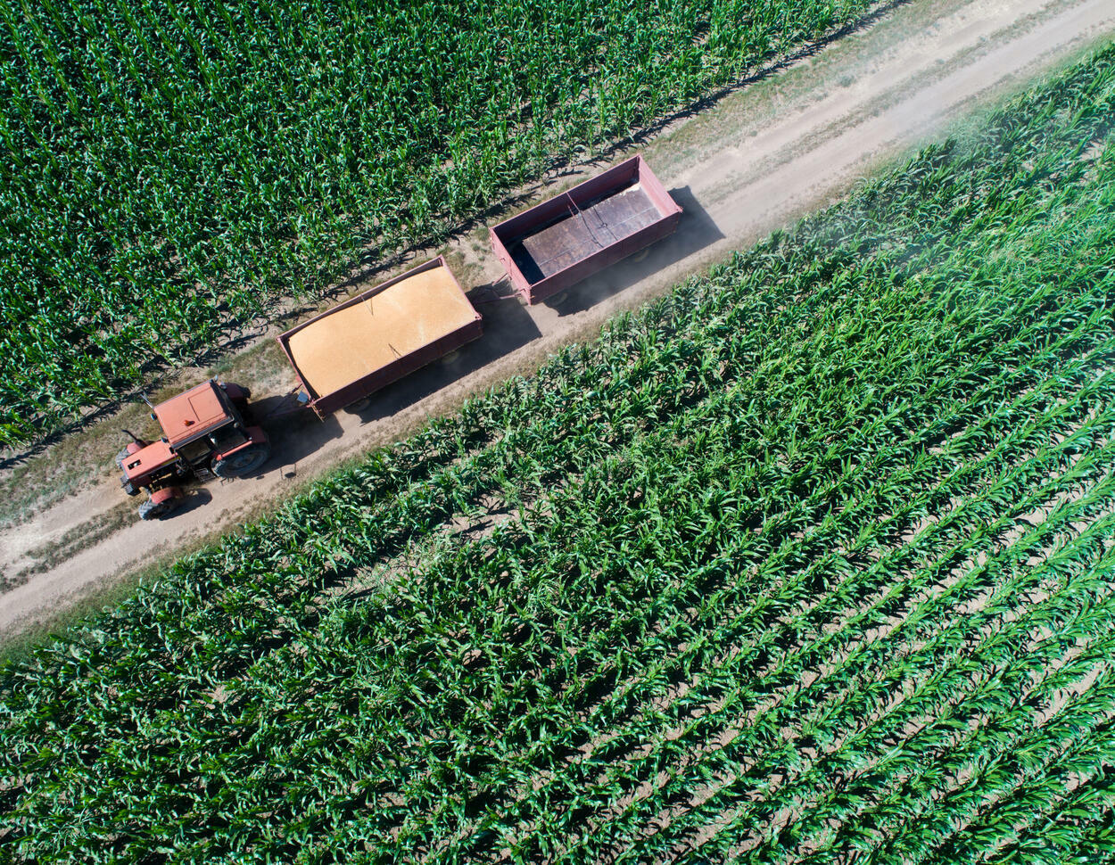 Regeln bei gewerblichen Transporten in der Landwirtschaft | agrarheute.com