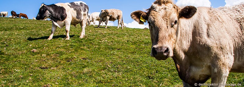 Thema: Landwirtschaft einst und jetzt - DemokratieWEBstatt.at