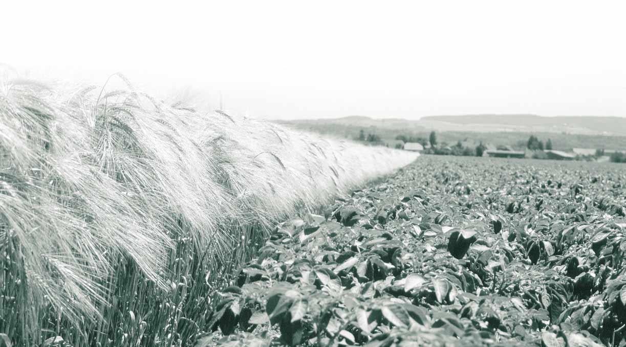 Agrarbericht 2004 by Bundesamt für Landwirtschaft BLW - Issuu