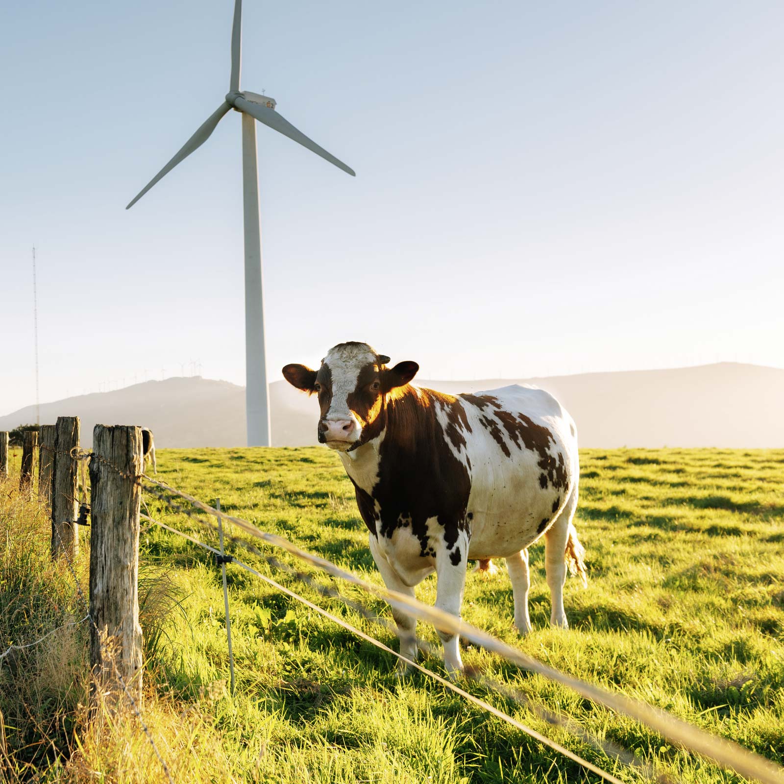 Hygienelösungen für die Ökologische Landwirtschaft - FINK TEC GmbH