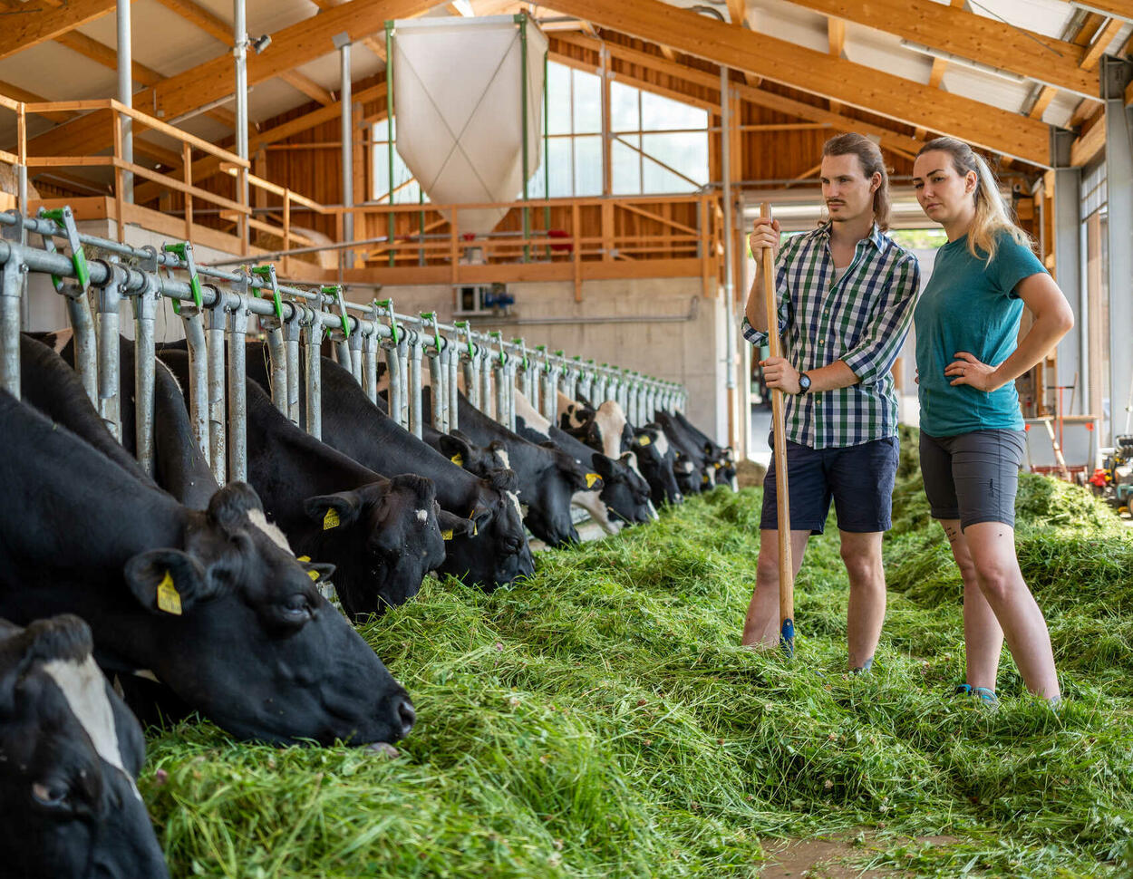 Tarif-Empfehlung: So steigen die Löhne in der Landwirtschaft