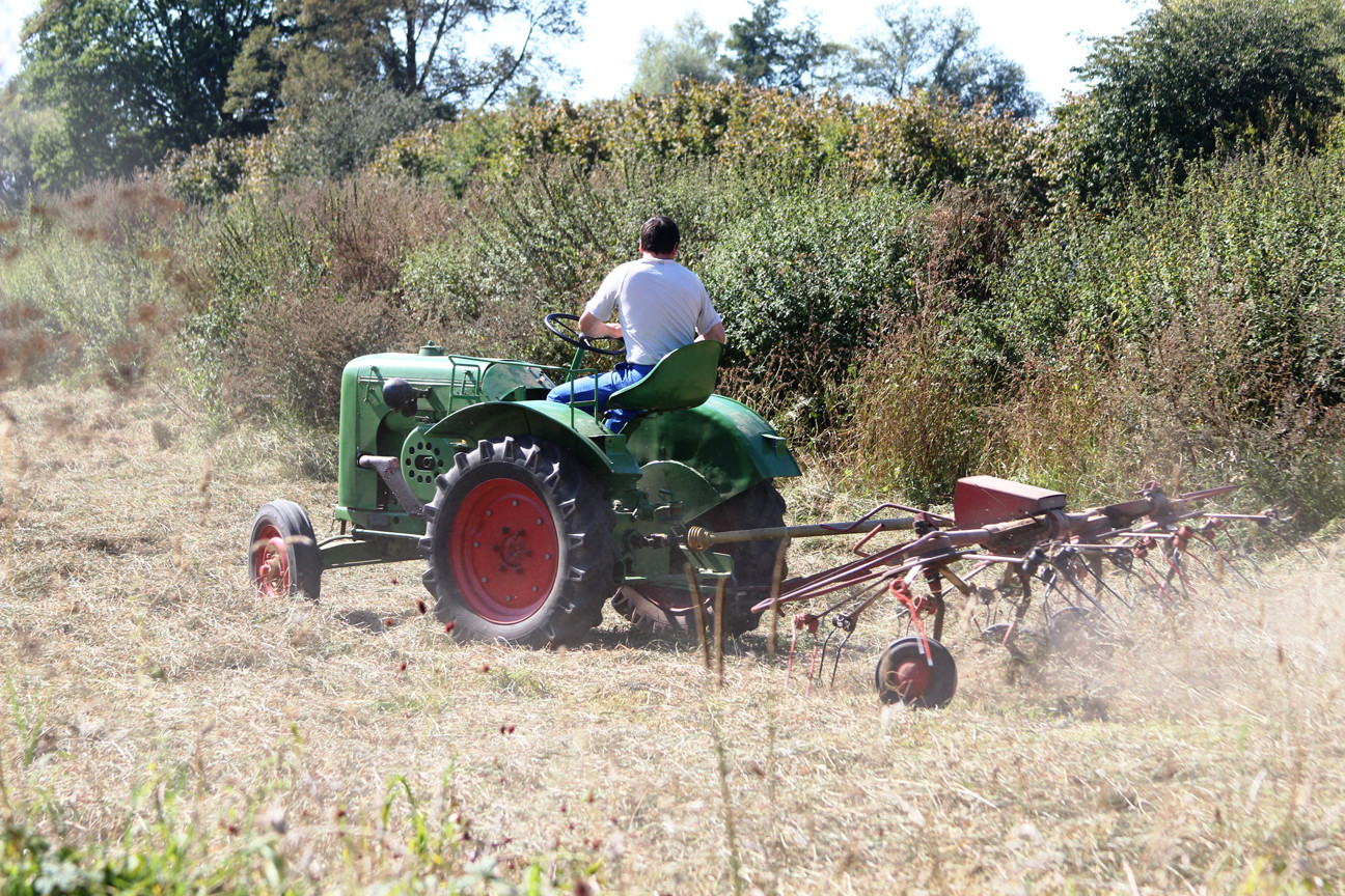 Landwirtschaft - Cappel - Ein Stadtteil von Marburg