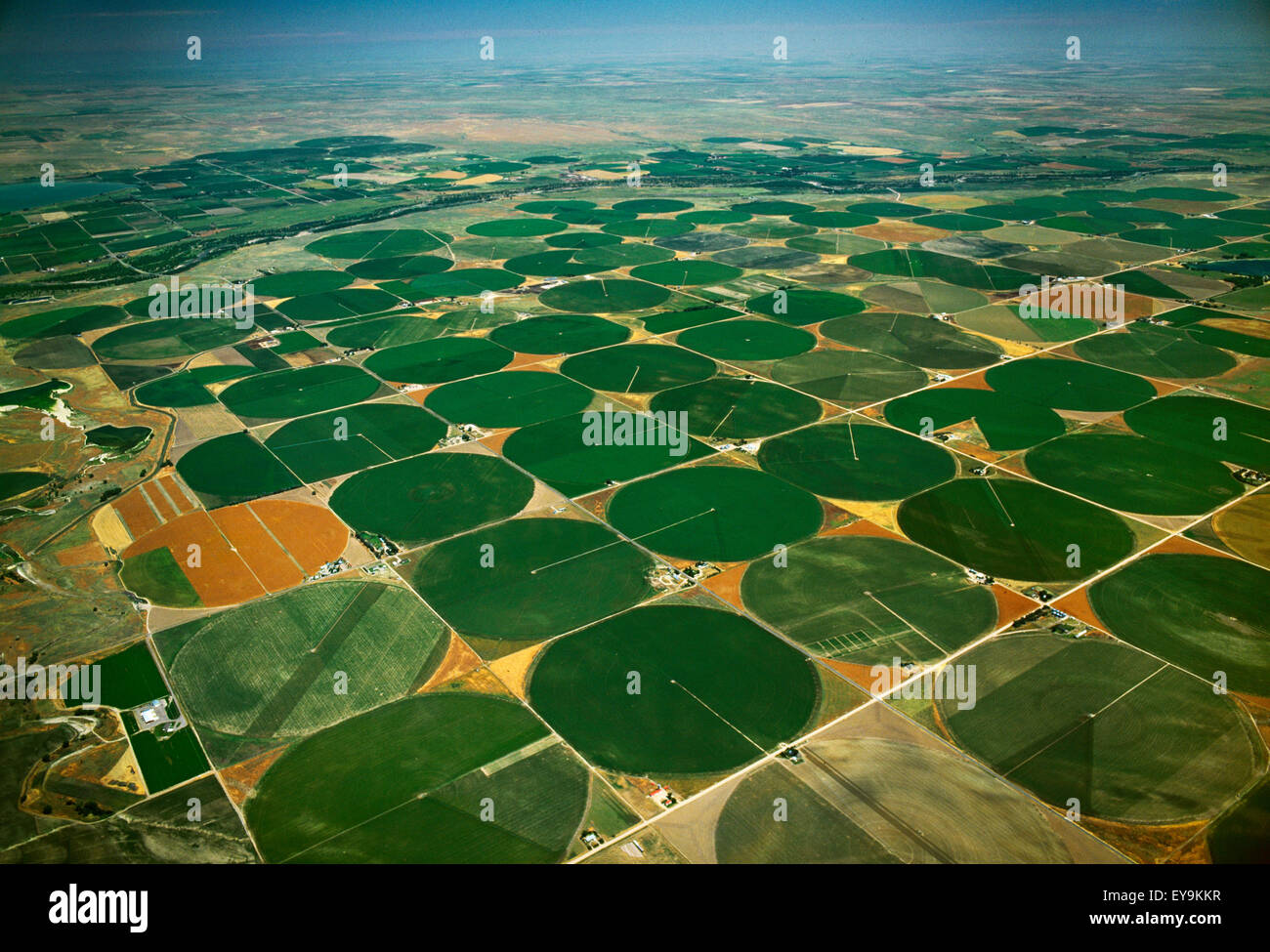 Landwirtschaft - Luftbild von Mitte Drehpunkt bewässert kreisförmige