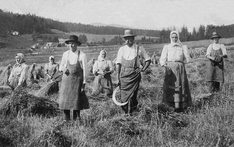 Erzählcafé widmet sich der Landwirtschaft im Wandel