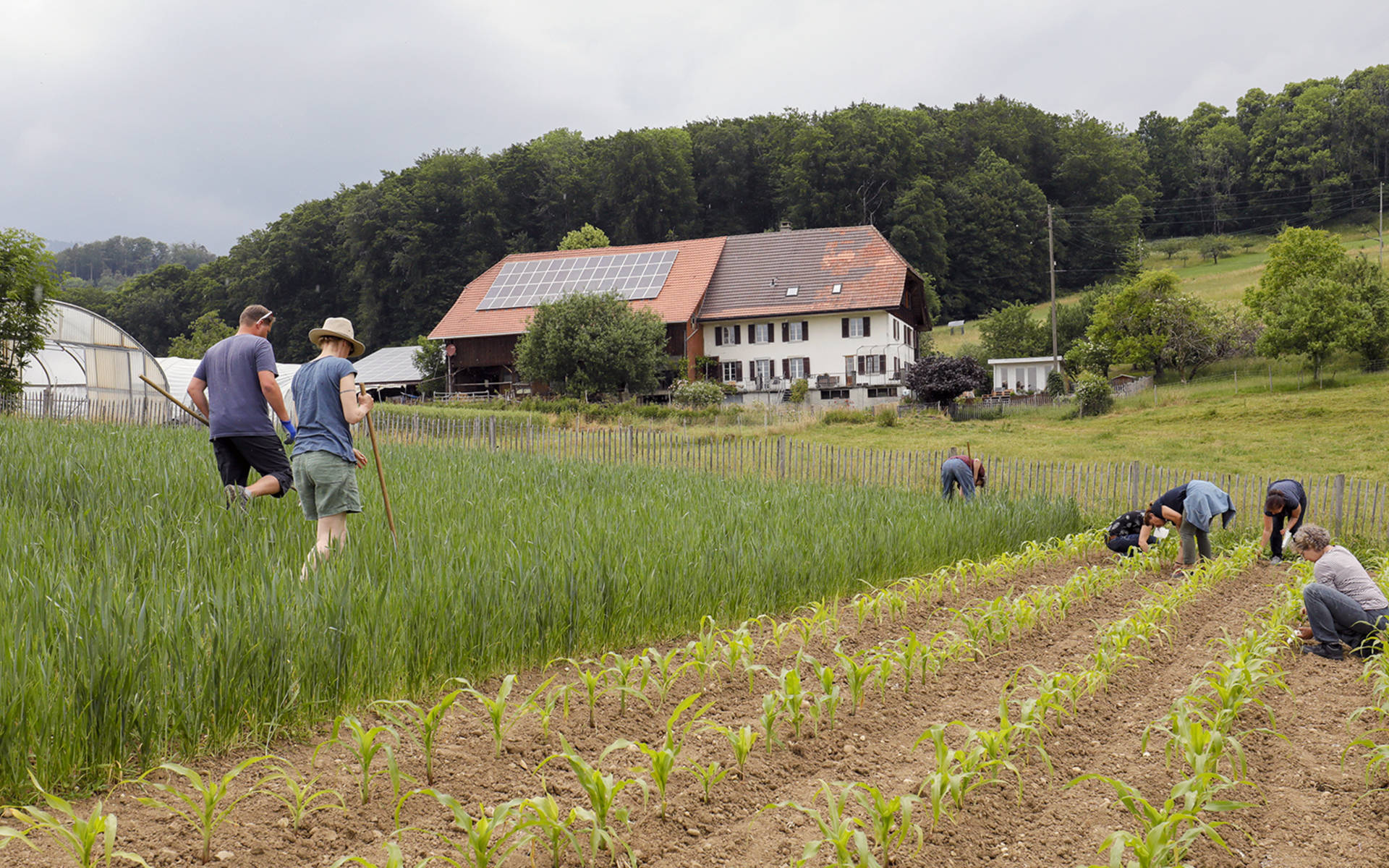 Der Generationenwechsel in der Landwirtschaft als ökologische Chance