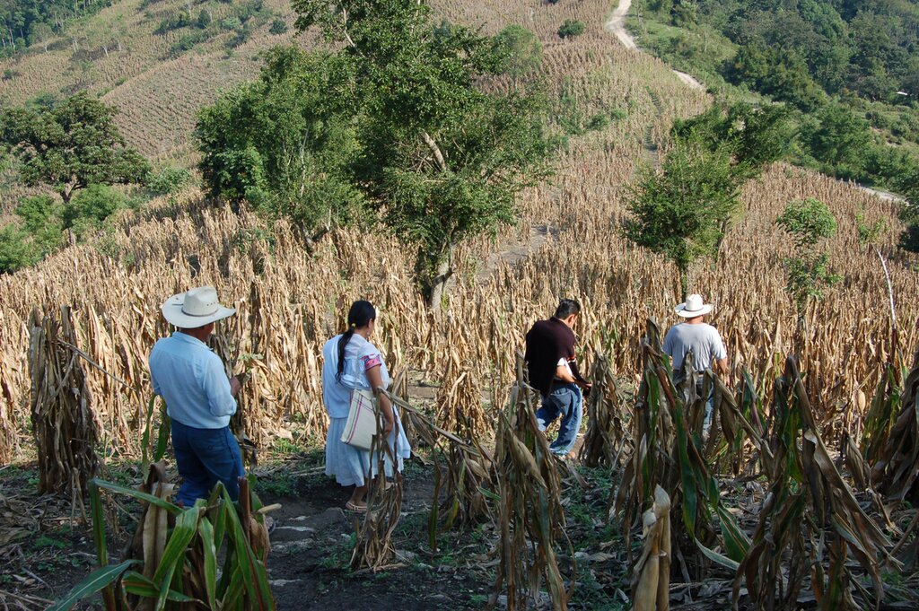 Off-the-Beaten-Path Yucatán: Yaxunah, Valladolid & Mérida - 10 Days