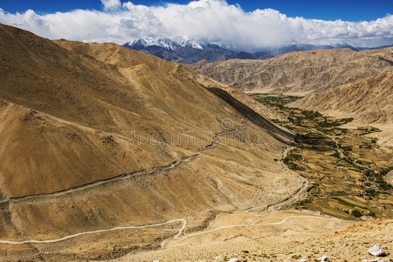 Landwirtschaft in Der Wüste Auf Dem Weg Zum Pangong See Von Leh LADAKH
