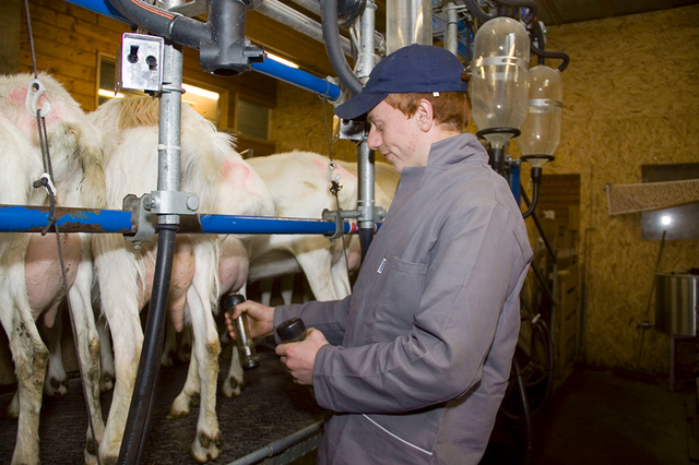 AMS Berufslexikon - FacharbeiterIn Landwirtschaft