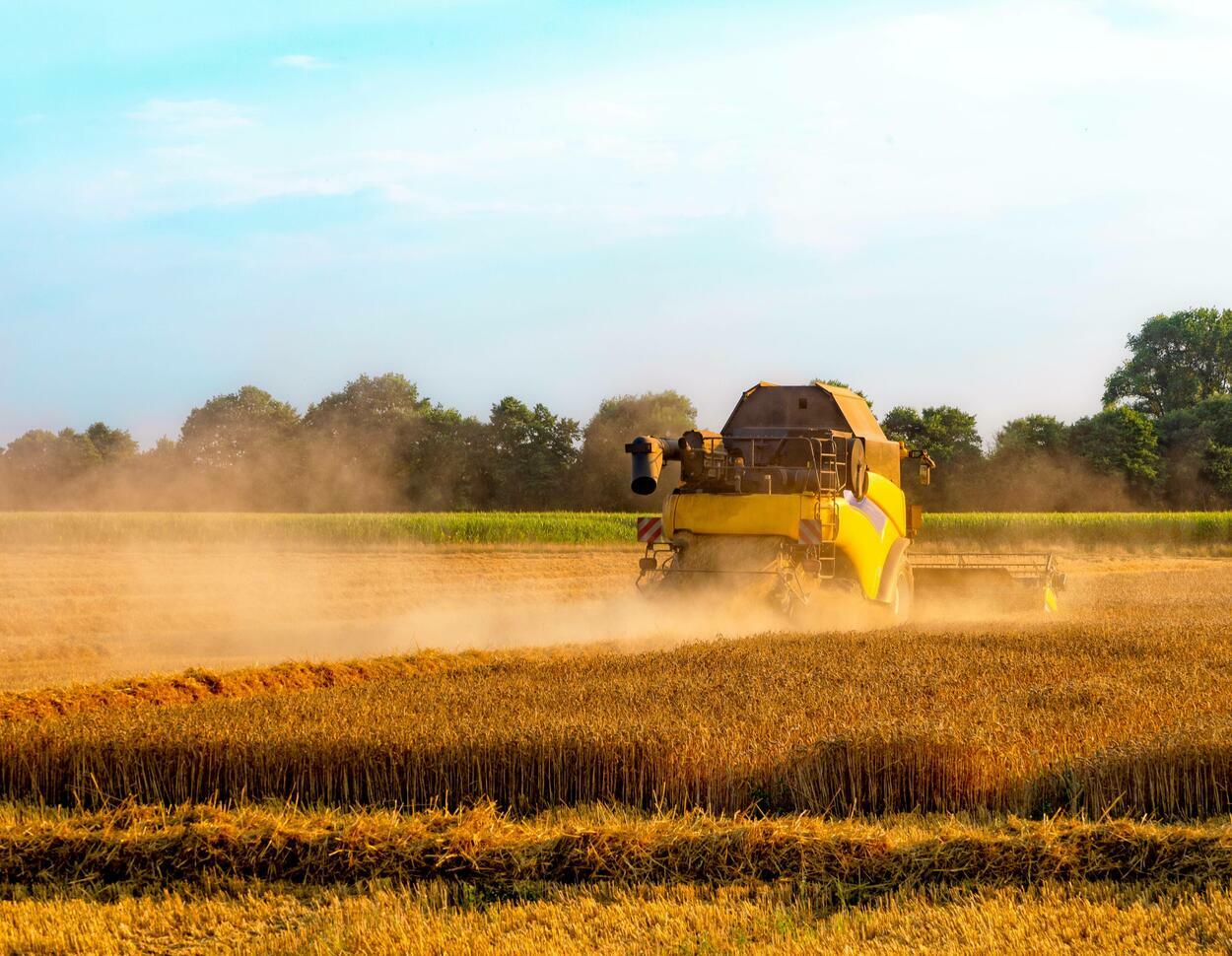 Polen: Hohe Kosten überfordern immer mehr Landwirte | agrarheute.com