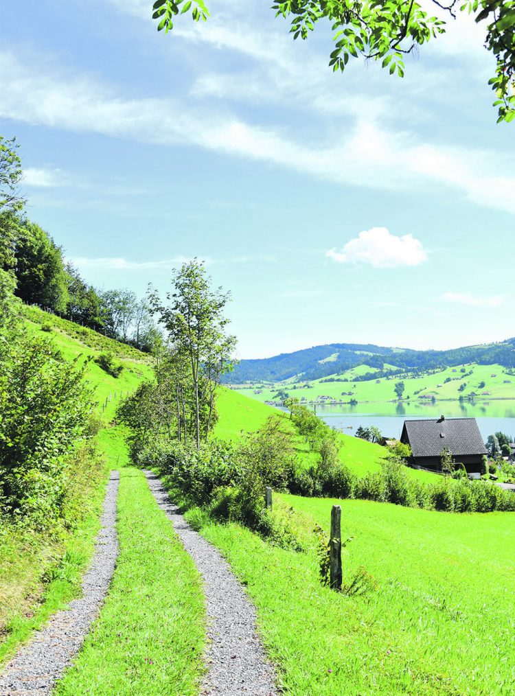 «Die Landwirtschaft ist der wichtigste Wirtschaftszweig» - Einsiedler