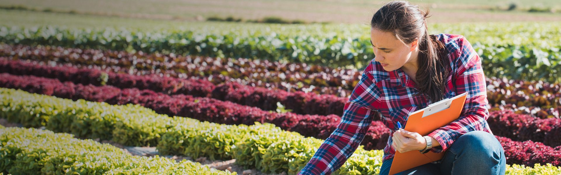 Was ist nachhaltige Landwirtschaft?