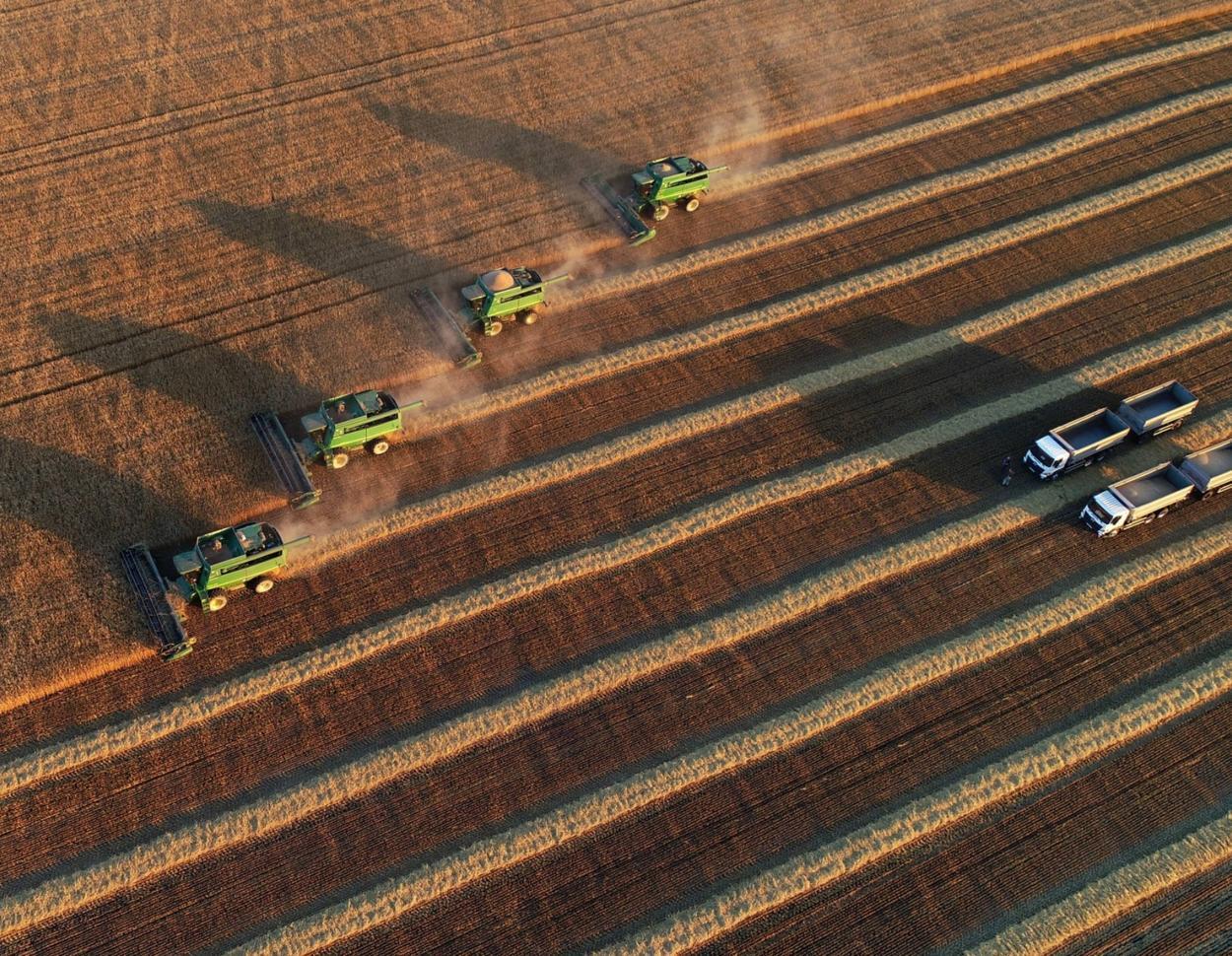 Landwirtschaft XXL in Russland: Ernte mit sieben Mähdreschern