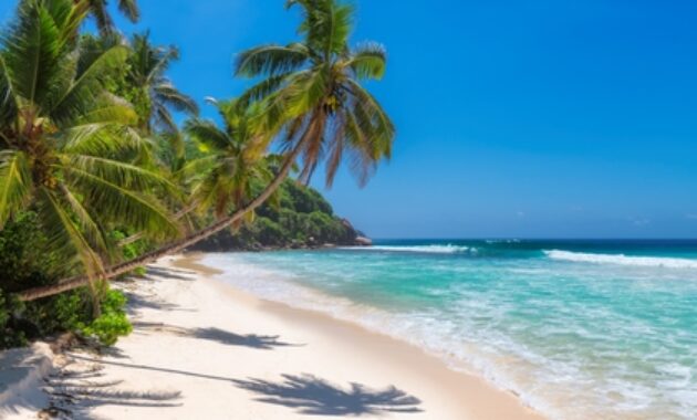 pauschalreisen dubai 2026