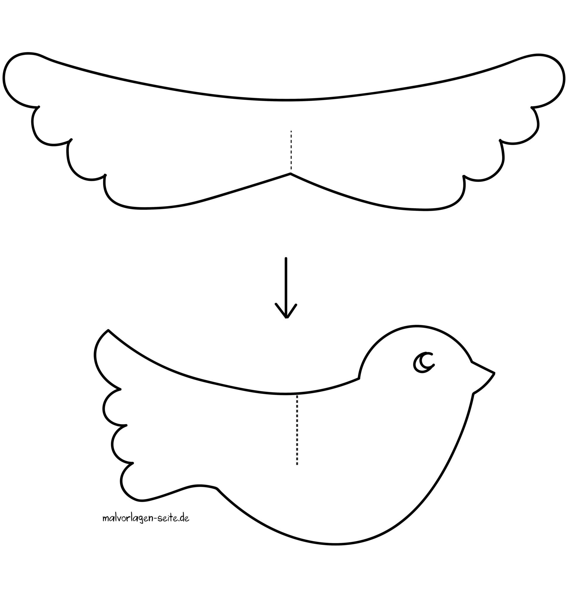  Foto zu Vogel Bastelvorlage 