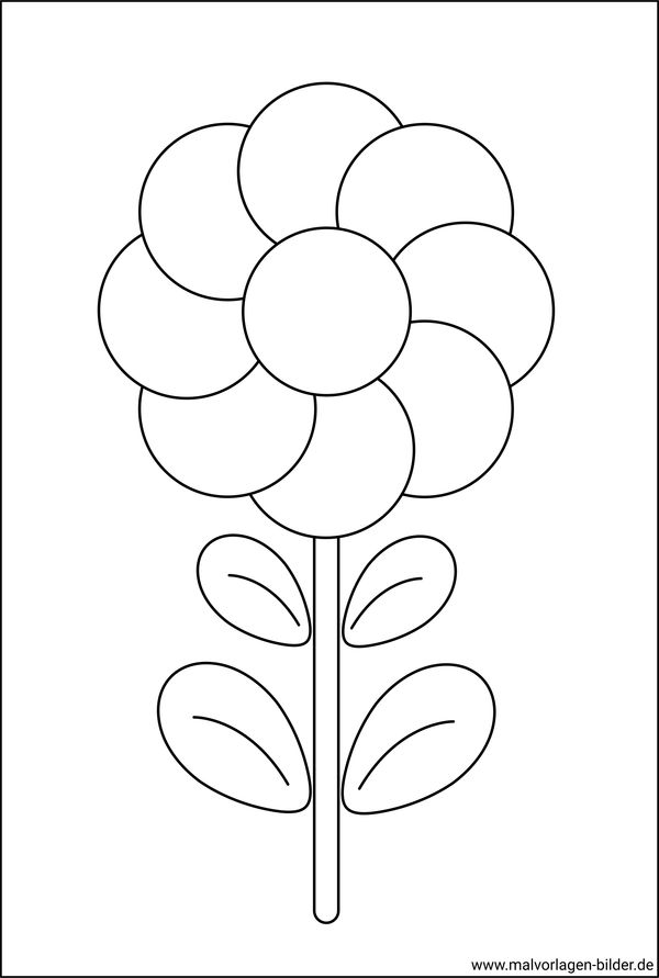  Foto zu Blume als Malvorlage für Kinder - kostenlos 