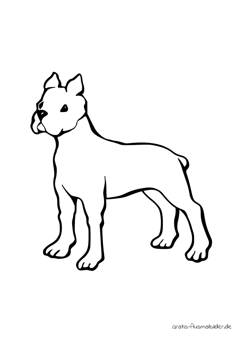  Hunde Ausmalbilder - Kostenlose Ausmalbilder bei Gratis-Ausmalbilder.de Illustration 