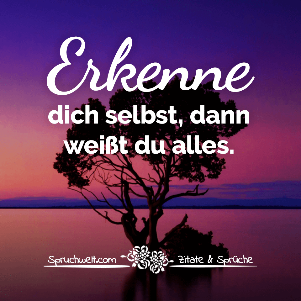  Foto zu Erkenne dich selbst, dann weißt du alles - Sprüche & Lebensweisheiten 