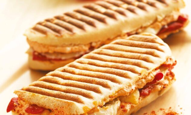 panini fifa world cup 2026