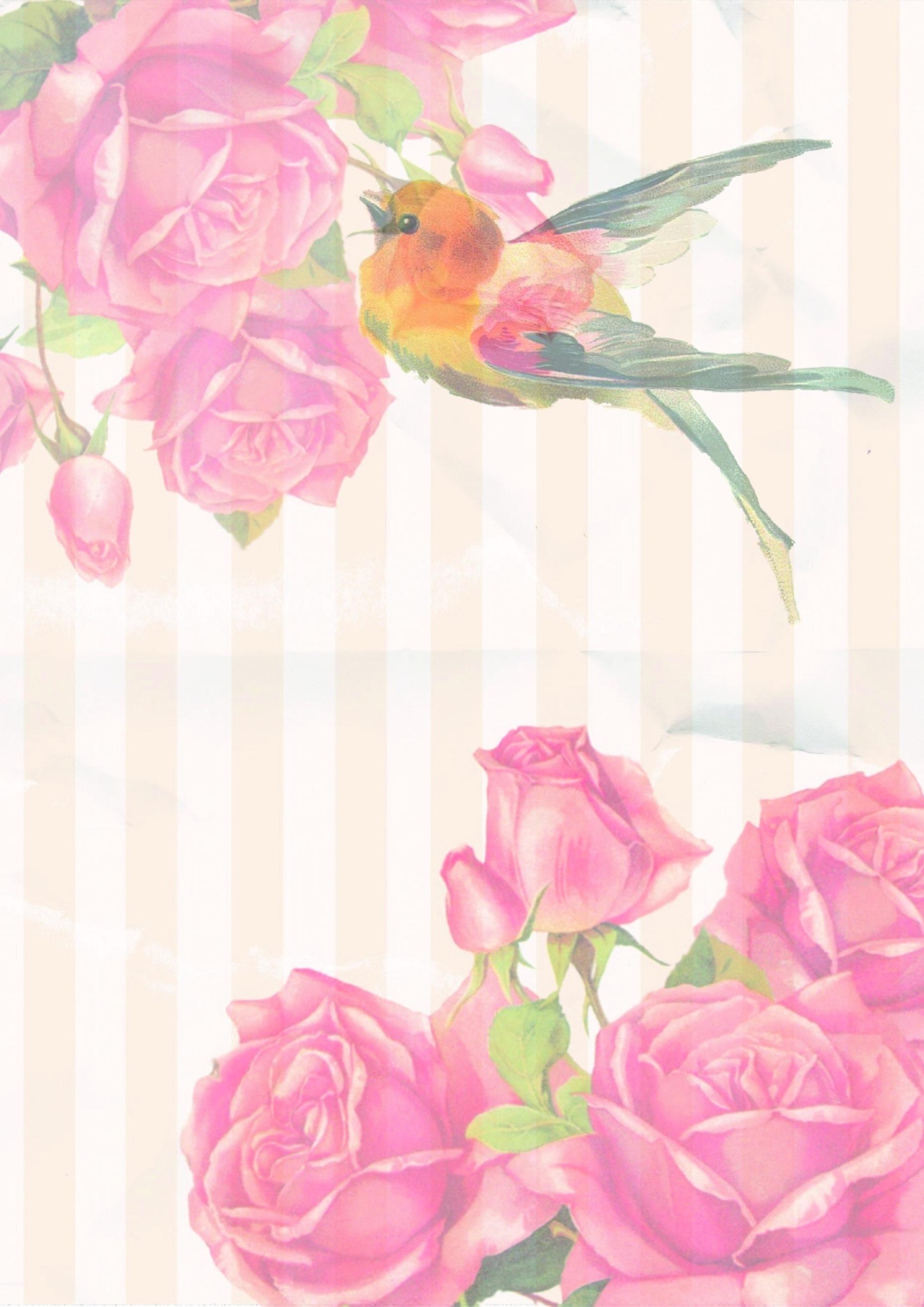  Foto zu Briefpapier mit "Blumen" - Kostenlose Vorlagen zum Ausdrucken - 24.07. 