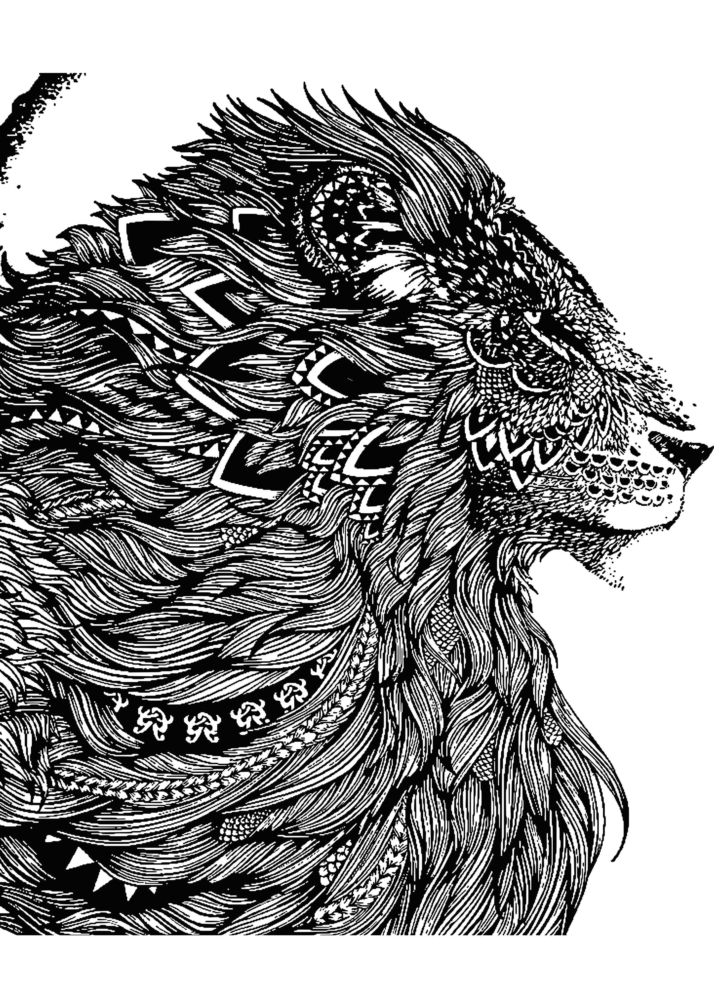  20 Besten Ausmalbilder Pferde Für Erwachsene – Beste Wohnkultur Illustration 