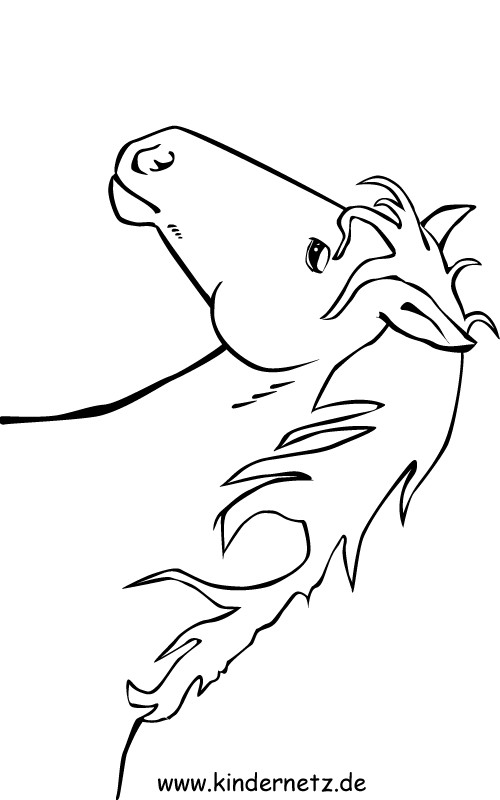  Foto zu 20 Der Besten Ideen Für Pferdekopf Ausmalbilder – Beste Wohnkultur 