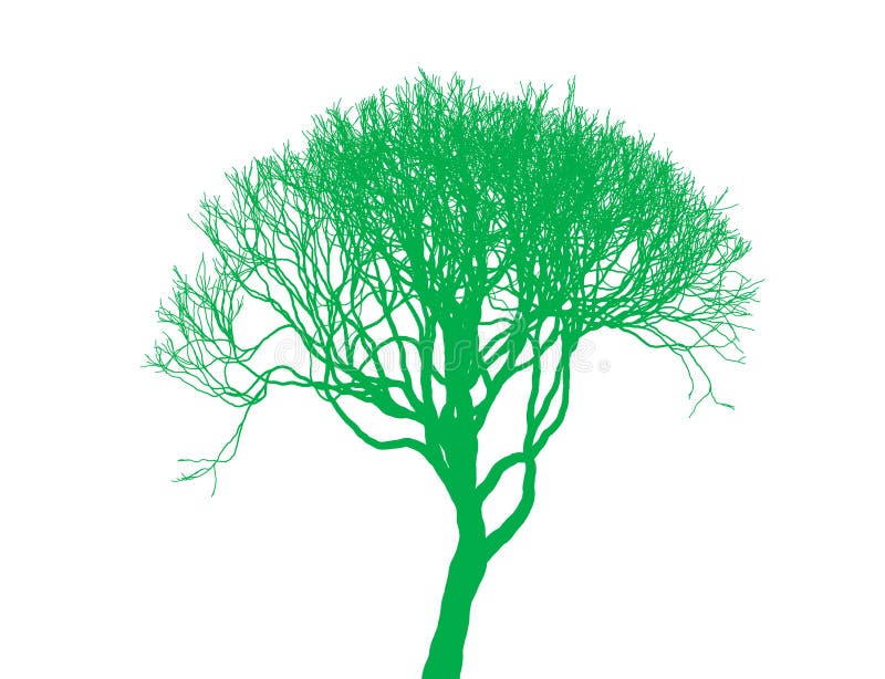  Winterbaumschattenbild Auf Weißem Hintergrund Kahler Baum Vektor 