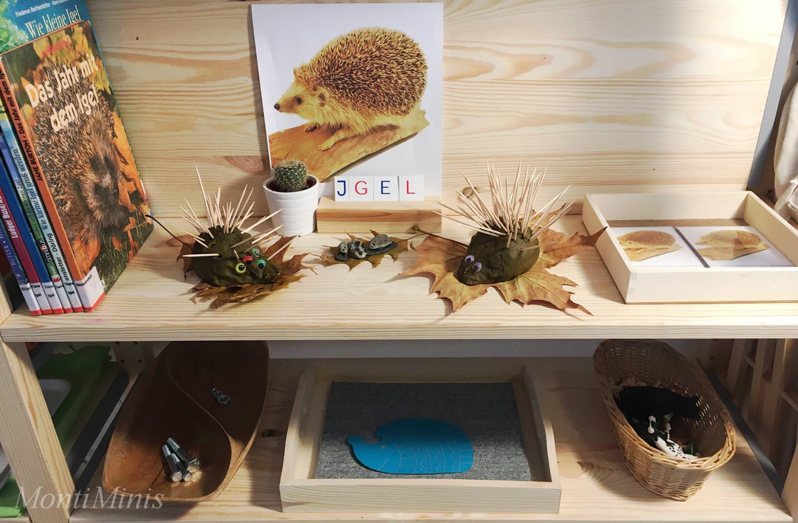  Igel-Themenwoche-8 Ideen zum Thema Igel und Winterschlaf - Montessori Illustration 