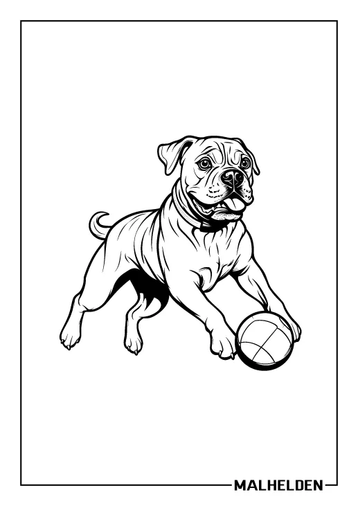  Boxer - Hund Ausmalbilder 