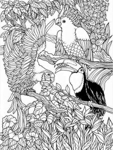  Ausmalbilder für Erwachsene 