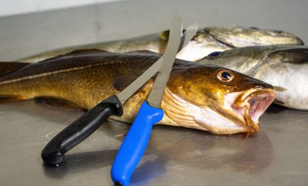 norwegen fisch ausführen 2026