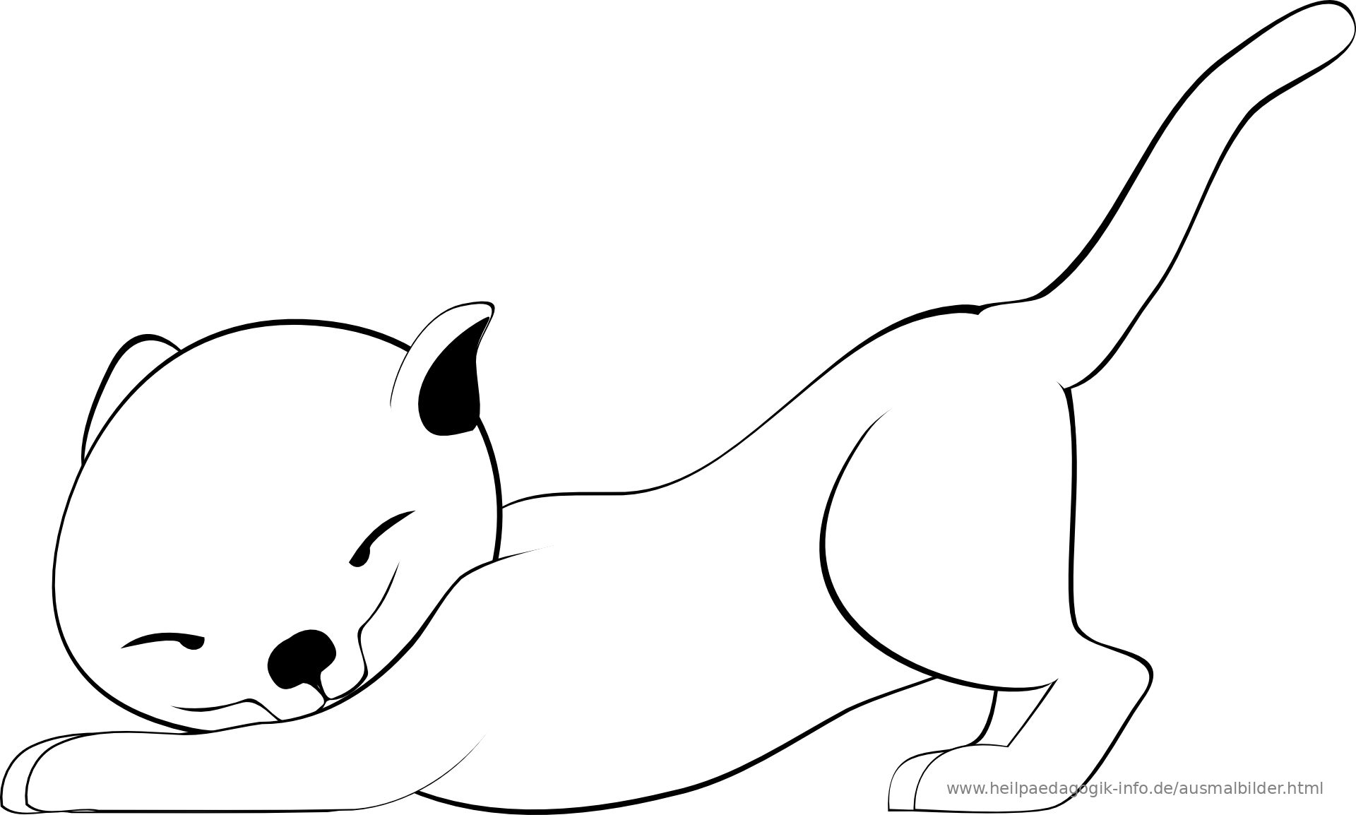  Ausmalbilder Katzen 