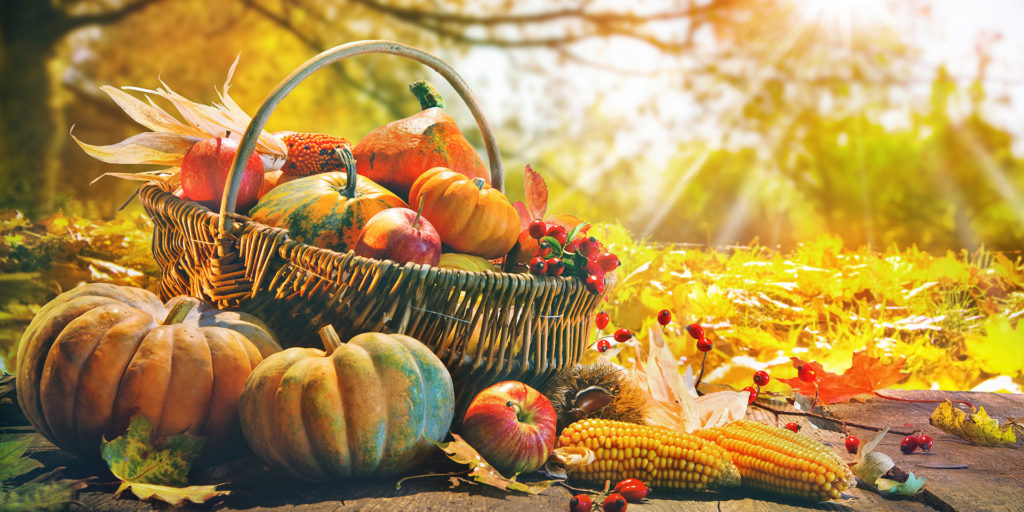  VALTAXA • Das war der Oktober Motiv 