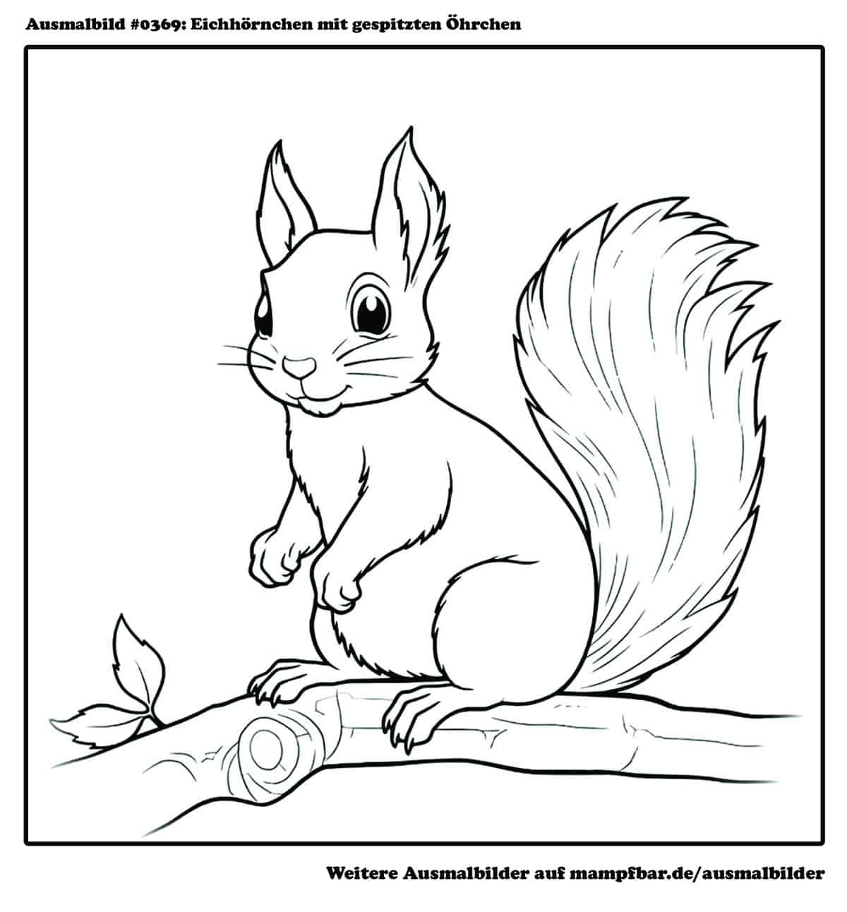  9 schöne Eichhörnchen-Ausmalbilder zum Ausdrucken 